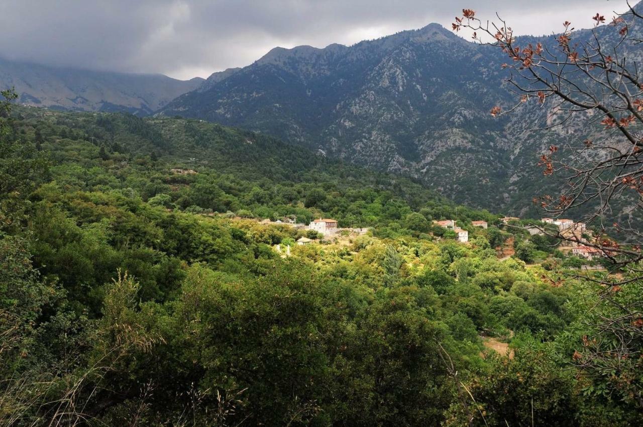 Arxontiko Taygeti Ξενοδοχείο Μυστράς Εξωτερικό φωτογραφία